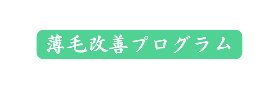 薄毛改善プログラム